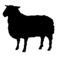 Shepherd Express